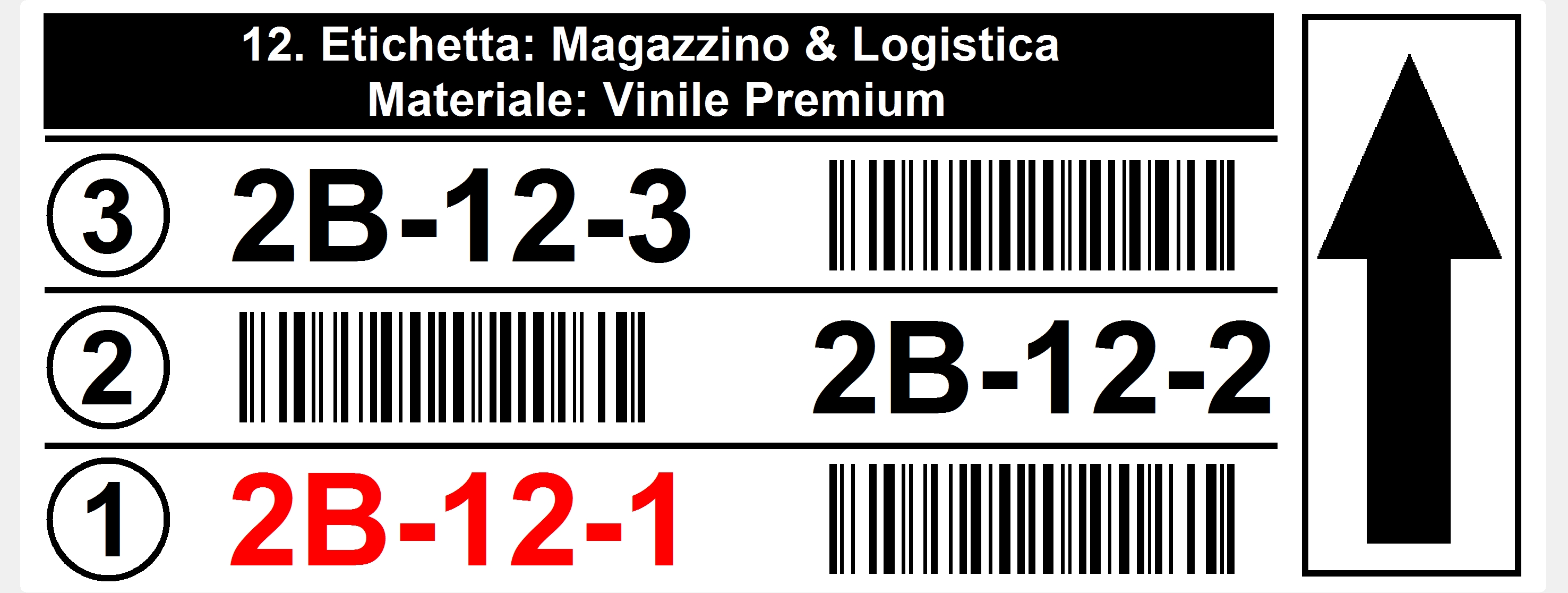 12. Barcode Posizione 25 x 10 cm
